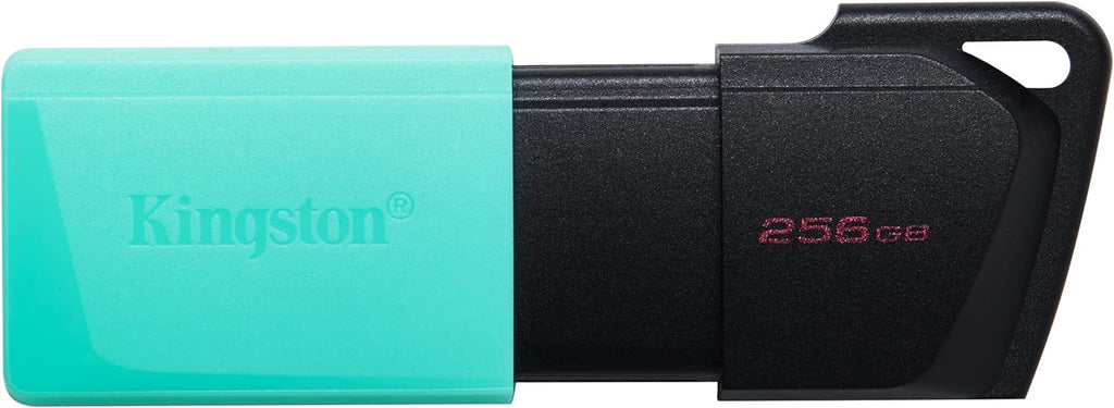 Kingston USB Data Traveler Exodia M, Capacidad: 256GB, USB 3.2 Gen 1 (DTXM/256GB)
